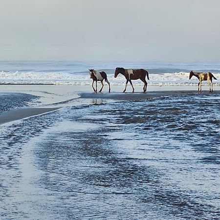 Coco Beach Village Matapalo  Екстериор снимка